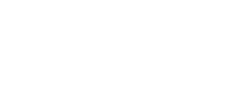 TAI by Tiger Solutions
